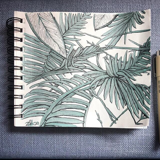 #lightthroughthetrees .
.
.
#illustration #drawing #nature #tropical #metallicmarkers #micron #sketch #sketchbook