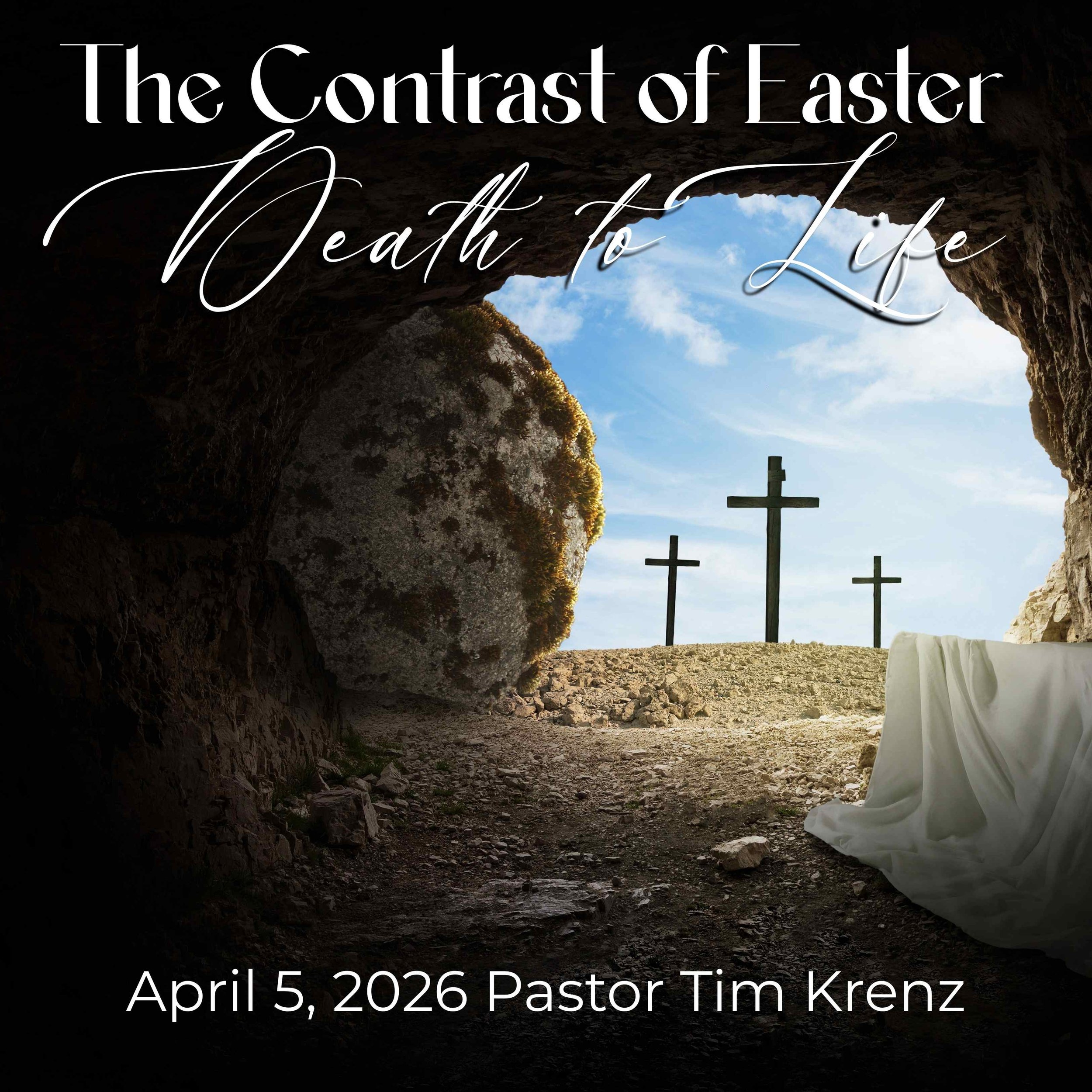 The Contrast of Easter (8 x 8 in).jpg