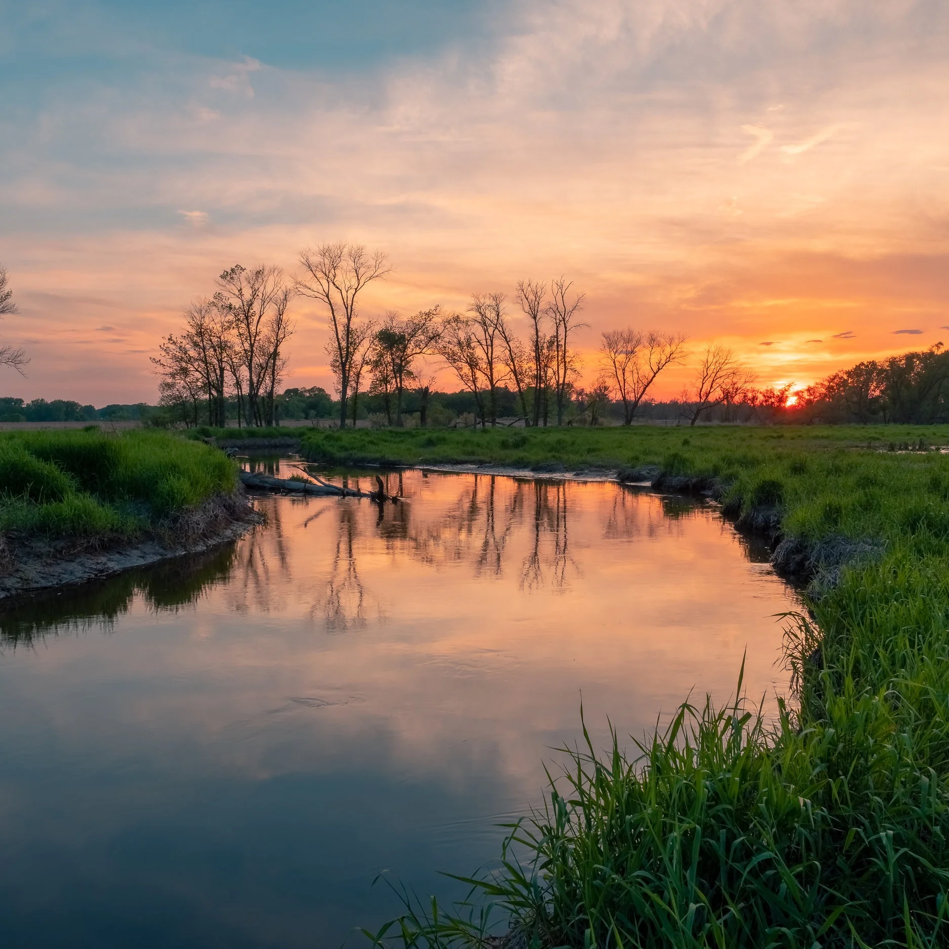 How to Become a Wildlife Conservationist, Los Angeles edition