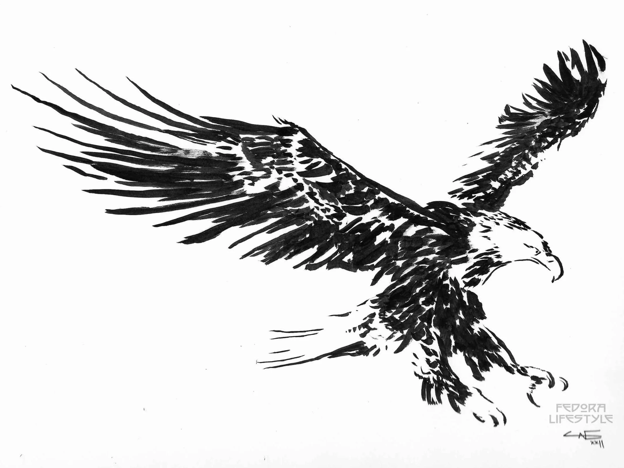 Eagle Strikes