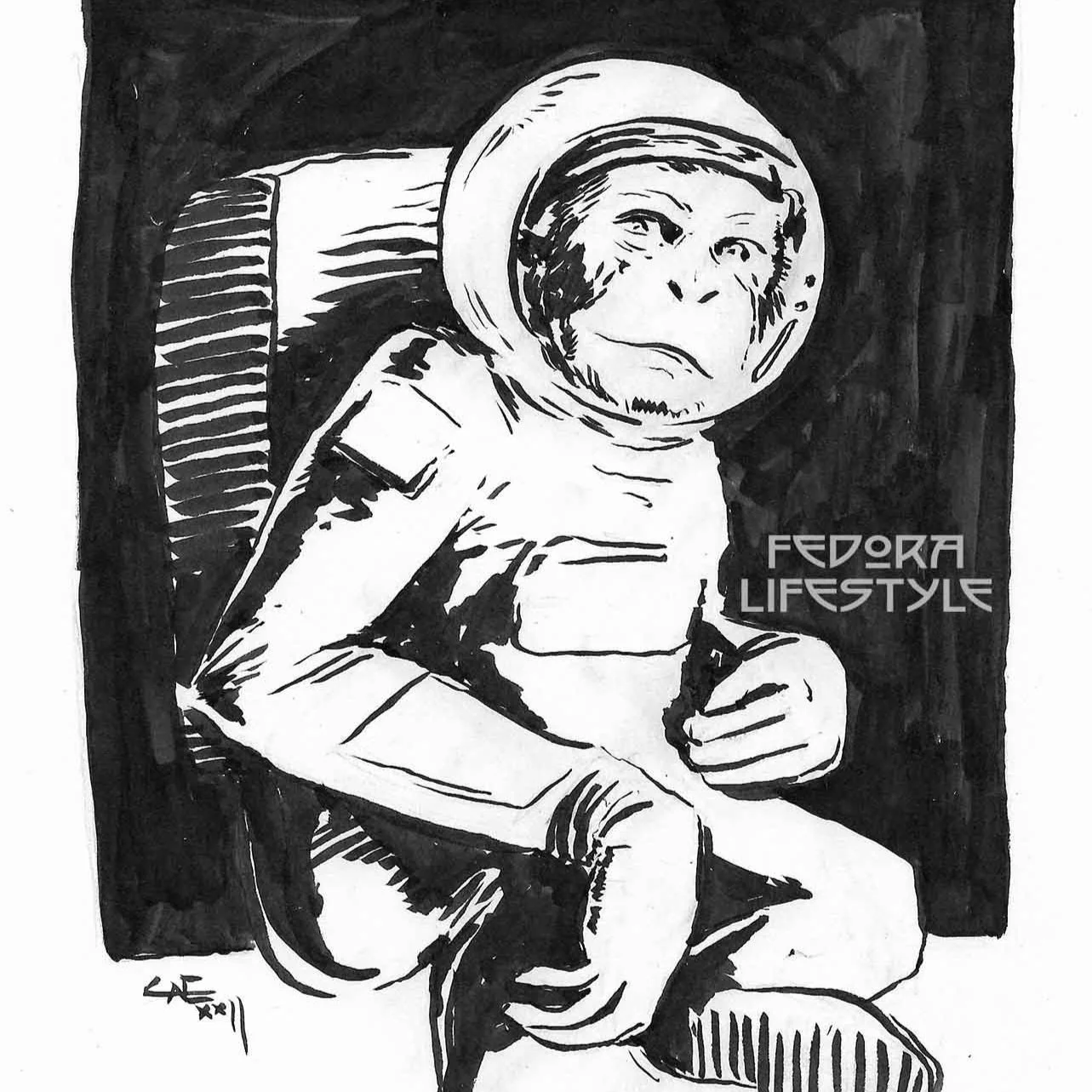 Space Monkey 2022