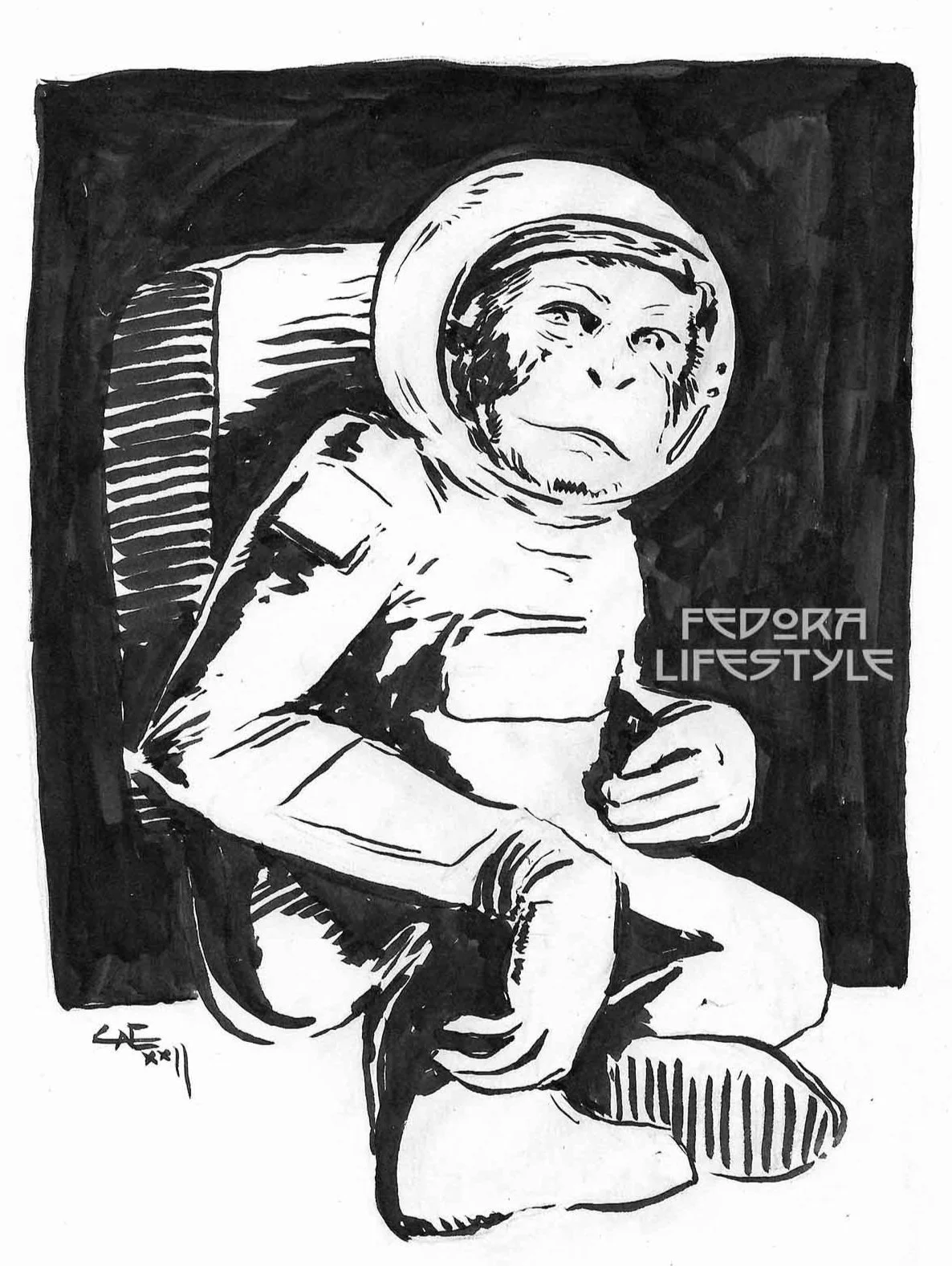 Space+monkey+2022.jpg