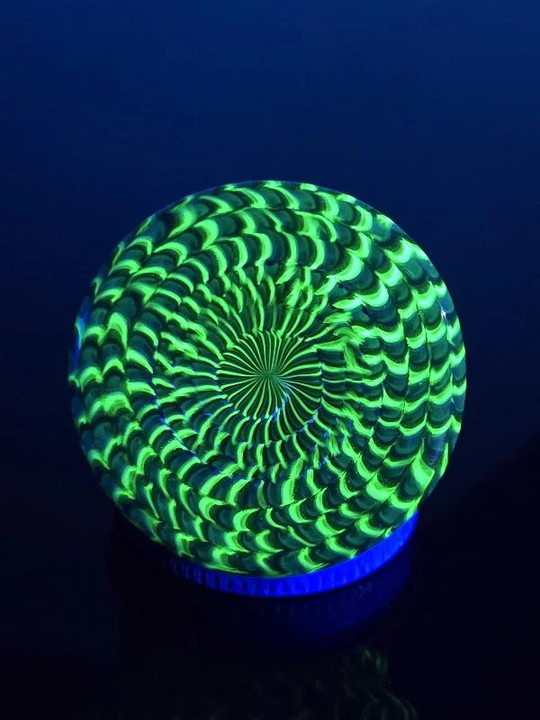 20250907_202513.jpg