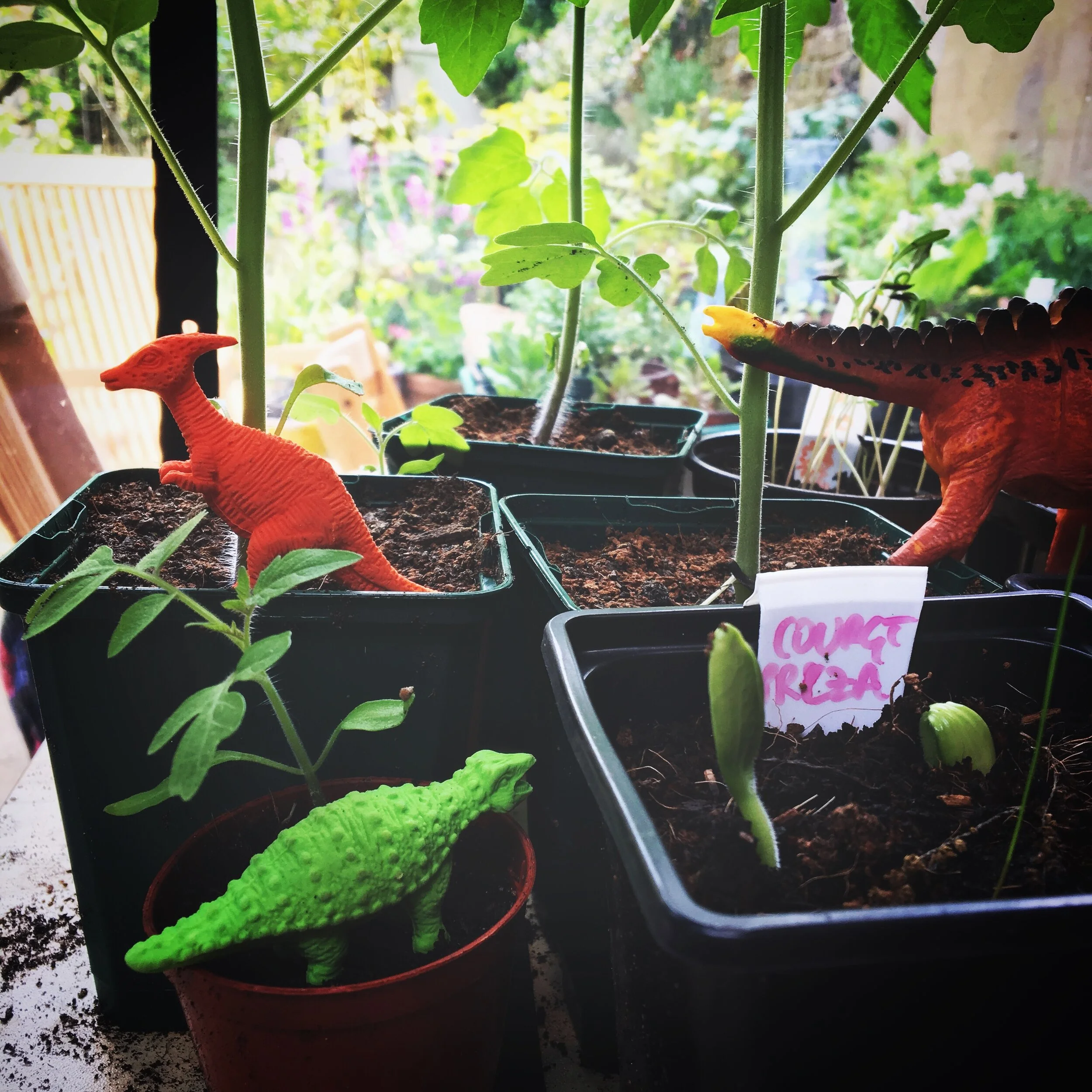 Parenting and Potting on