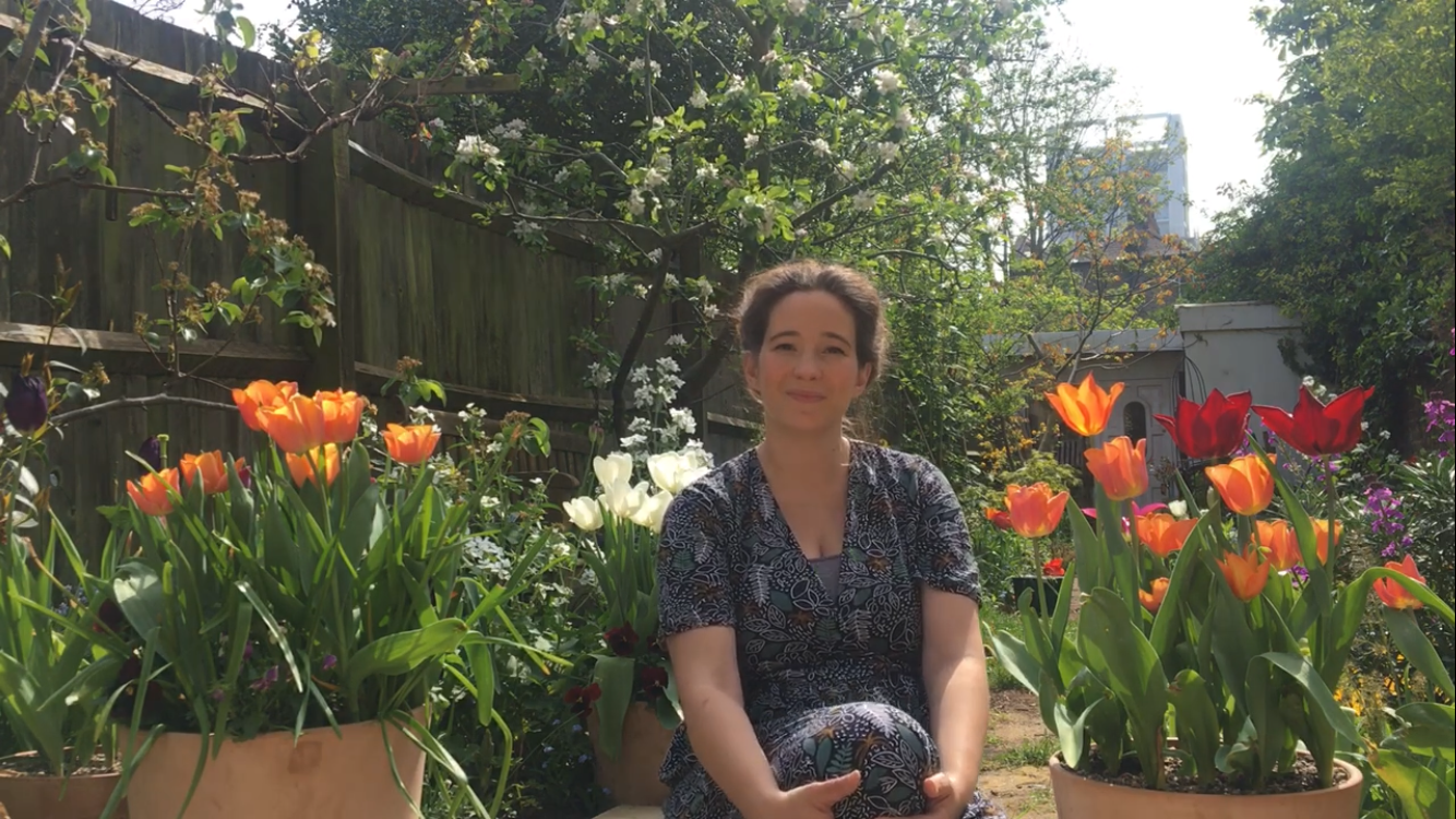 Lessons I have learnt from my bulbs this year