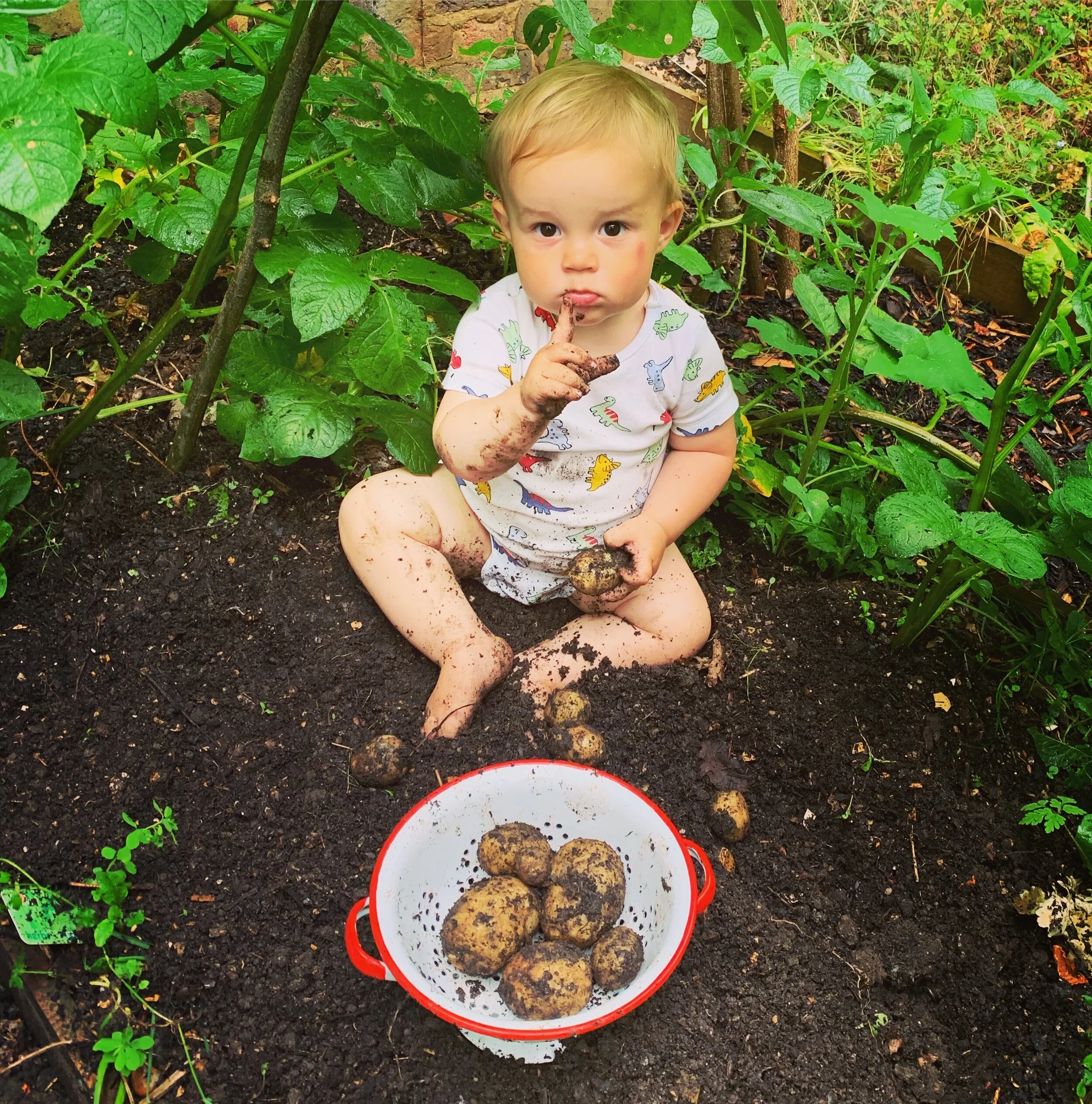 Gardening with a child.  Gardening as a child.