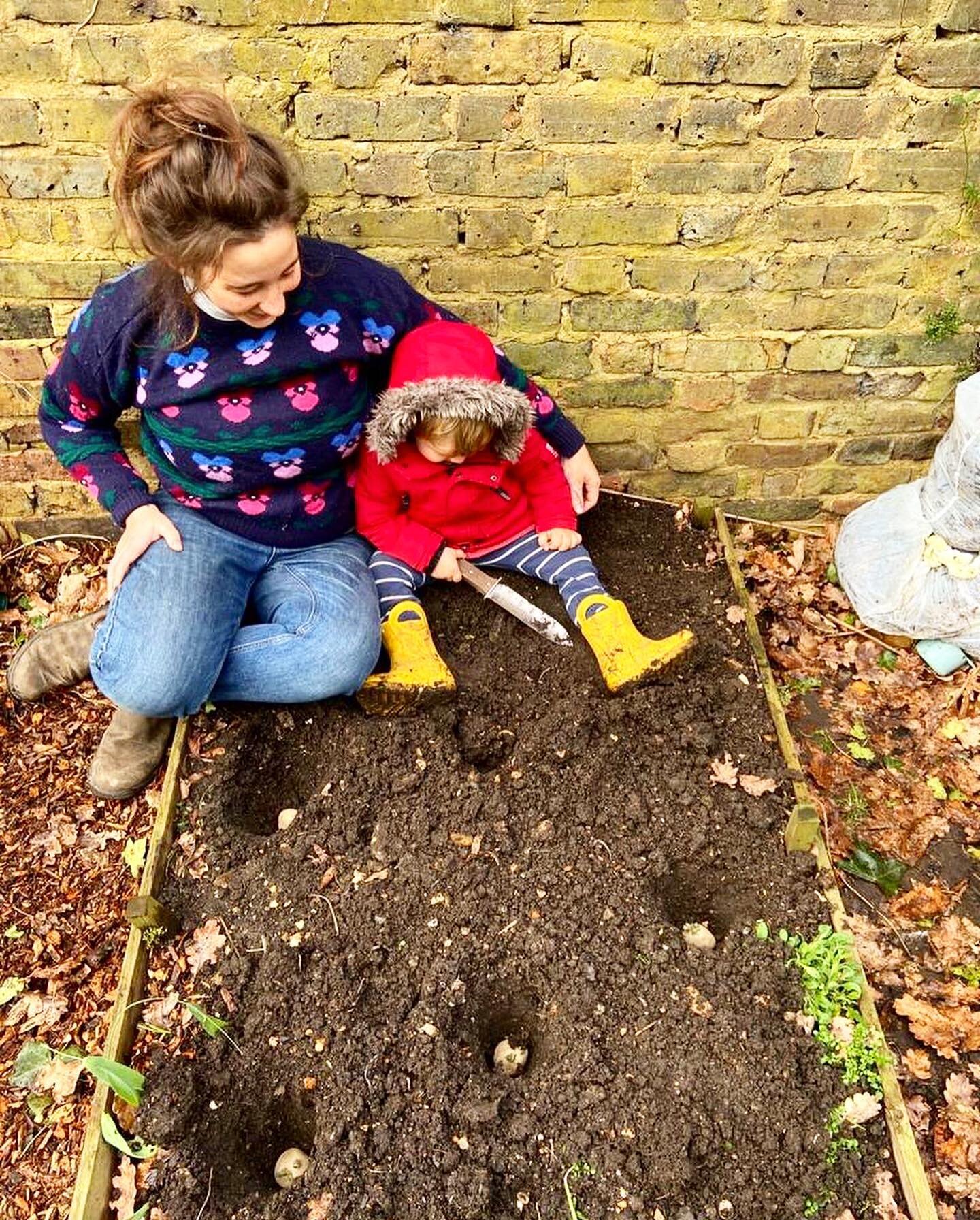 Potato time!  Potatoes are very much a family activity here and Arthur is part of their planting and a HUGE part of digging them up.  We don&rsquo;t dig a trench but pop each one into a hole and then earth up as they grow.  It&rsquo;s easy, it works 