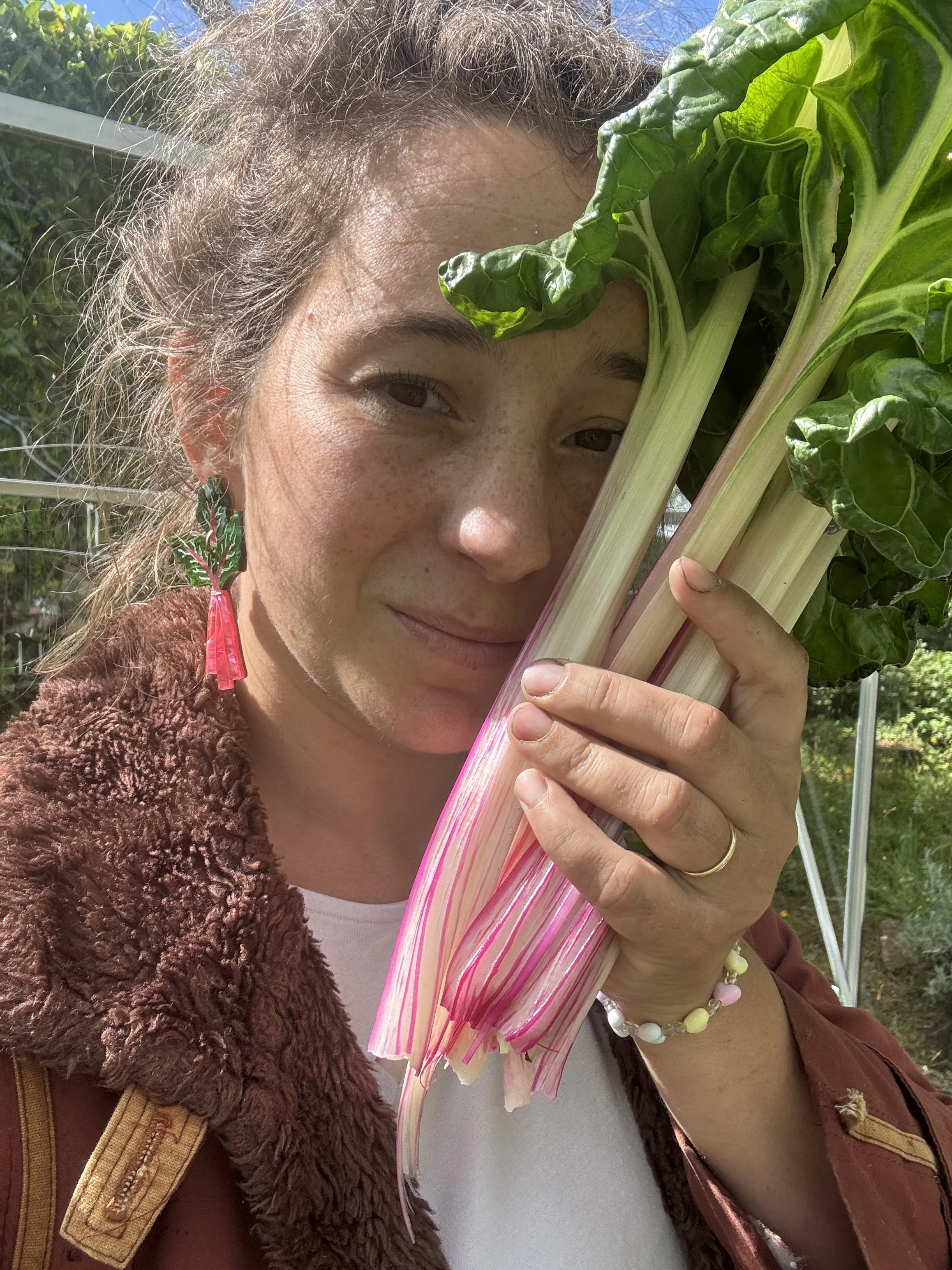 Digesting Self Sufficiency