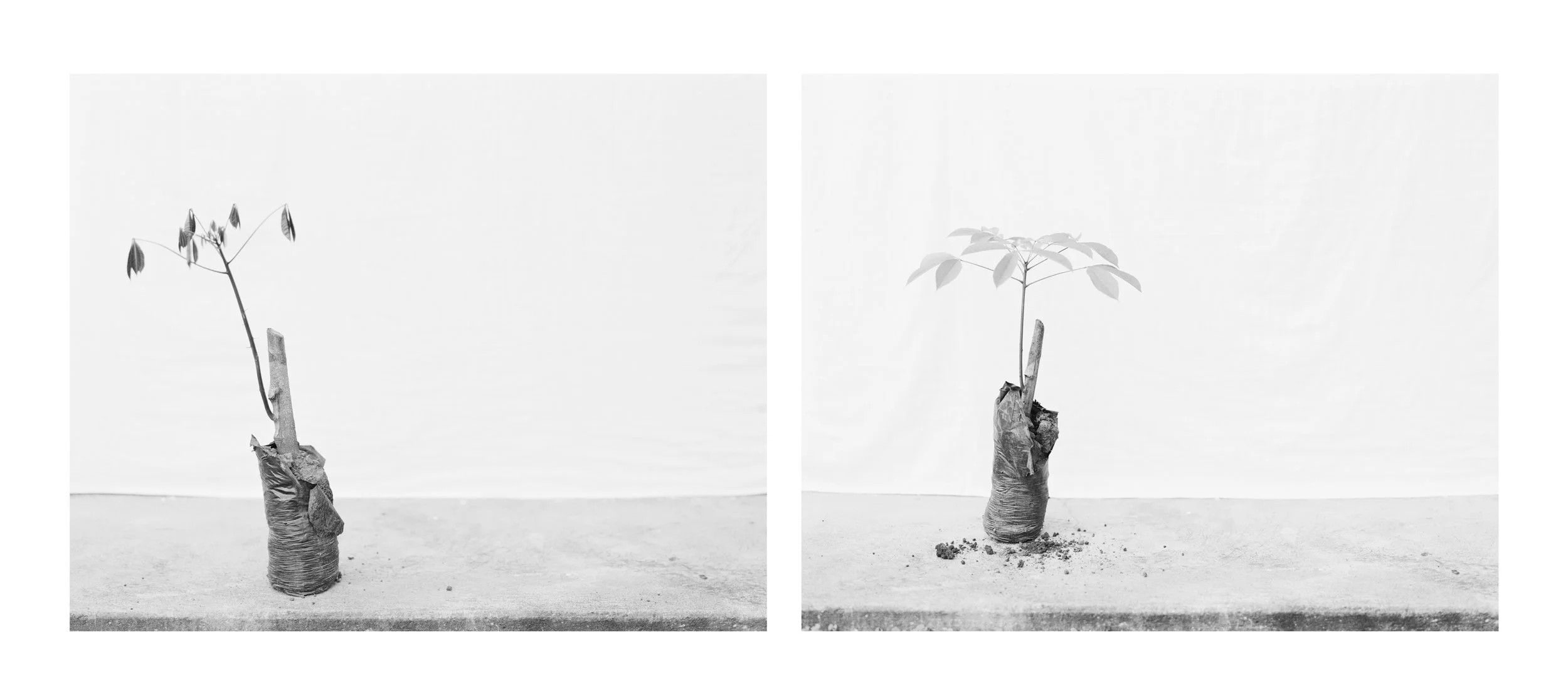 The Stanford Department of Art & Art History, presents Academic Practice: Bay Area Photography Now, on view July 24 through August 26, 2018 with a reception on Thursday, July 26, from 4-6pm. Curated by Jonathan Calm, this exhibit is a showcase of work by seven Bay Area photographers who also teach photography at various schools in the region. Artists included: Karolina Karlic, Youngsuk Suh, Lindsey White, Jessica Ingram, Sean McFarland, Catherine Wagner, Jamil Hellu, Allan deSouza
