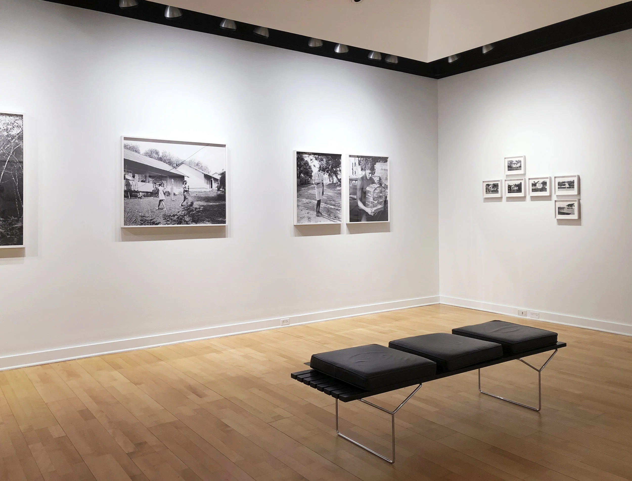 Rubberlands Light Work Installation