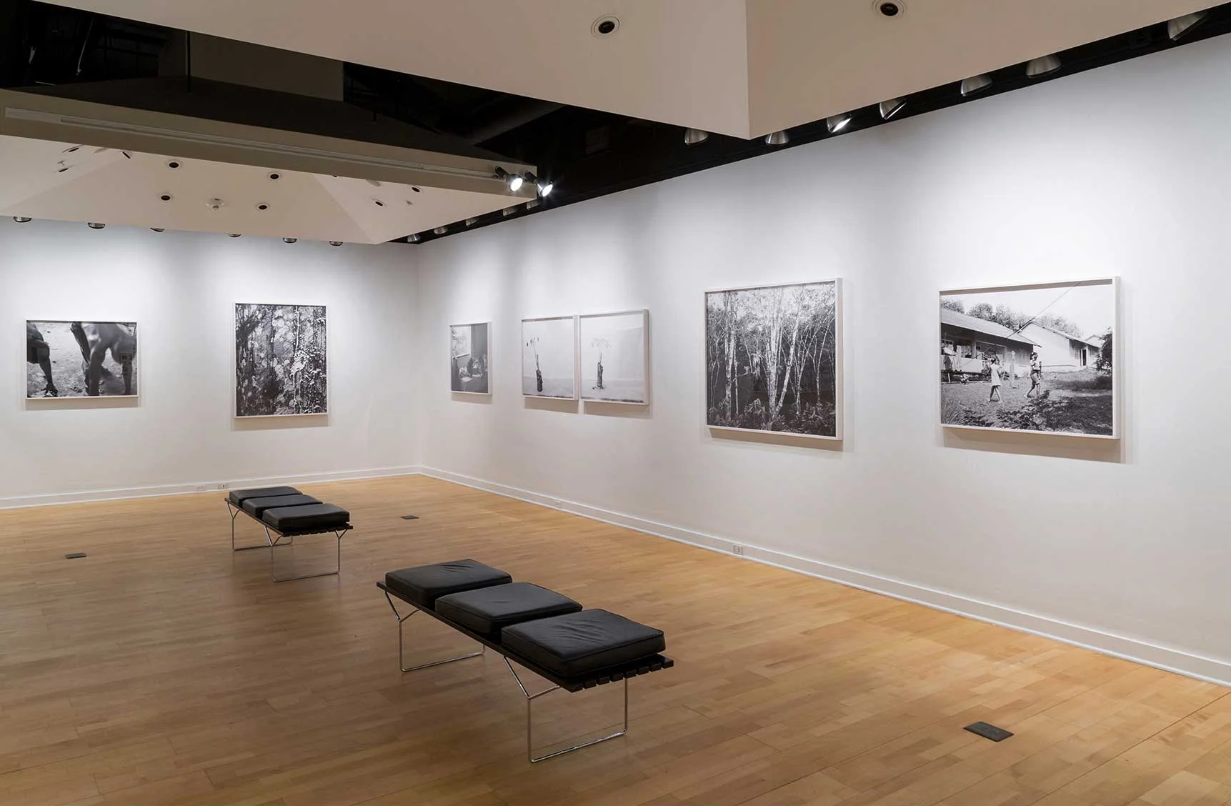 Rubberlands Light Work Installation
