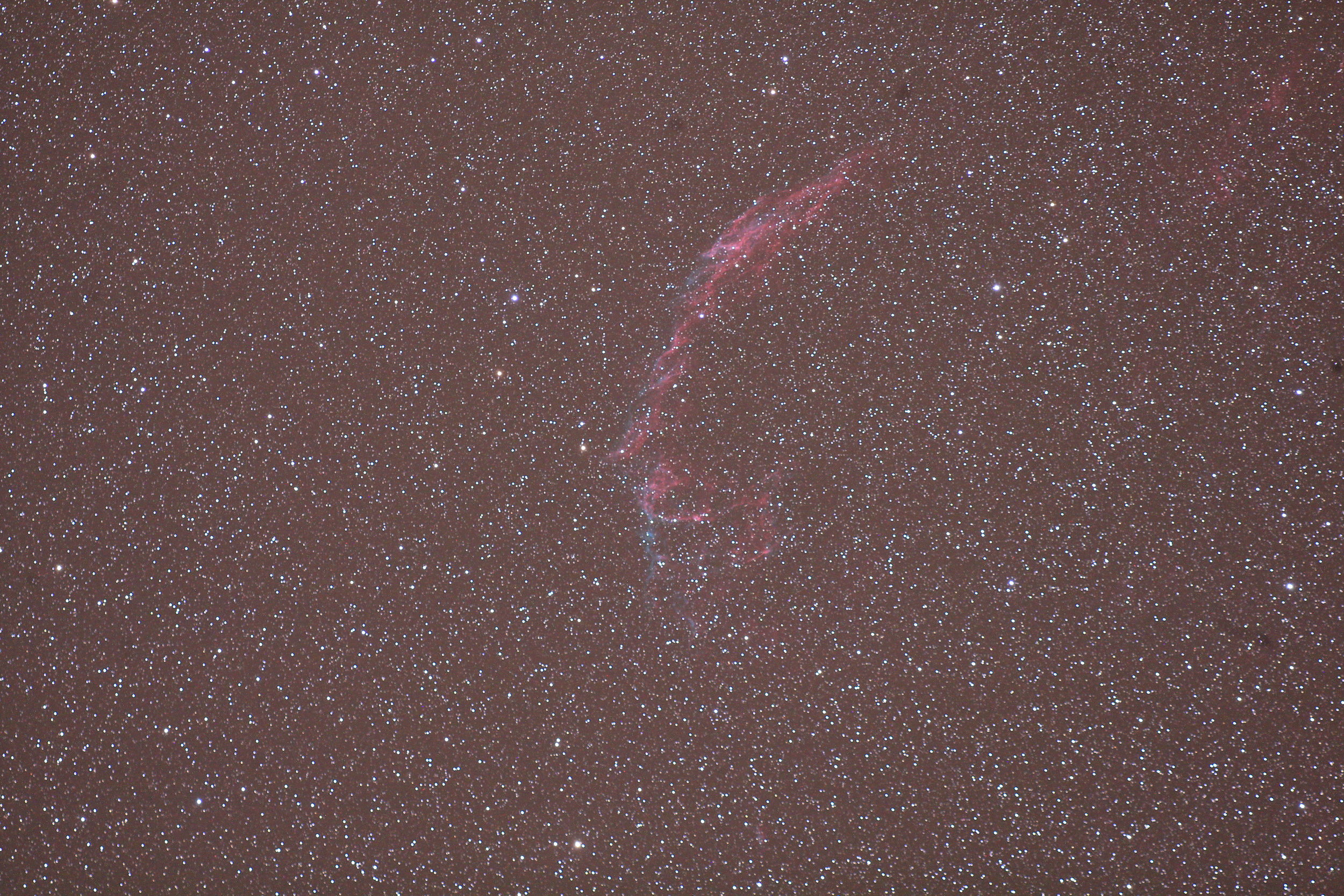 Veil NGC6995 7m_7.JPG