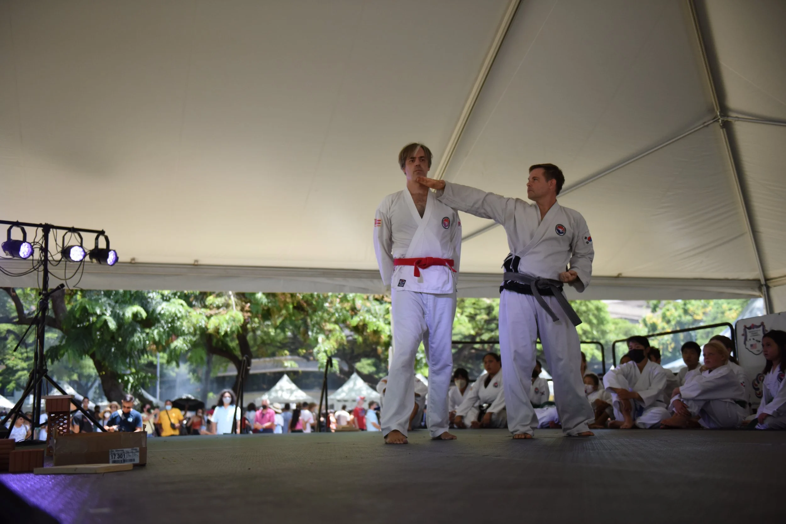 Taekwondo1.JPG