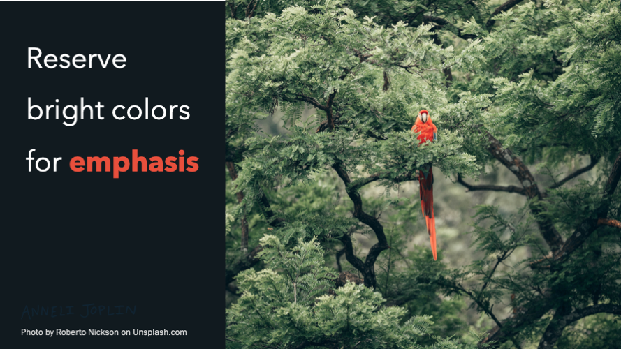 Parrot in Tree Presentation Design Slide