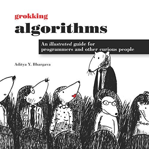 Grokking algorithms.jpg