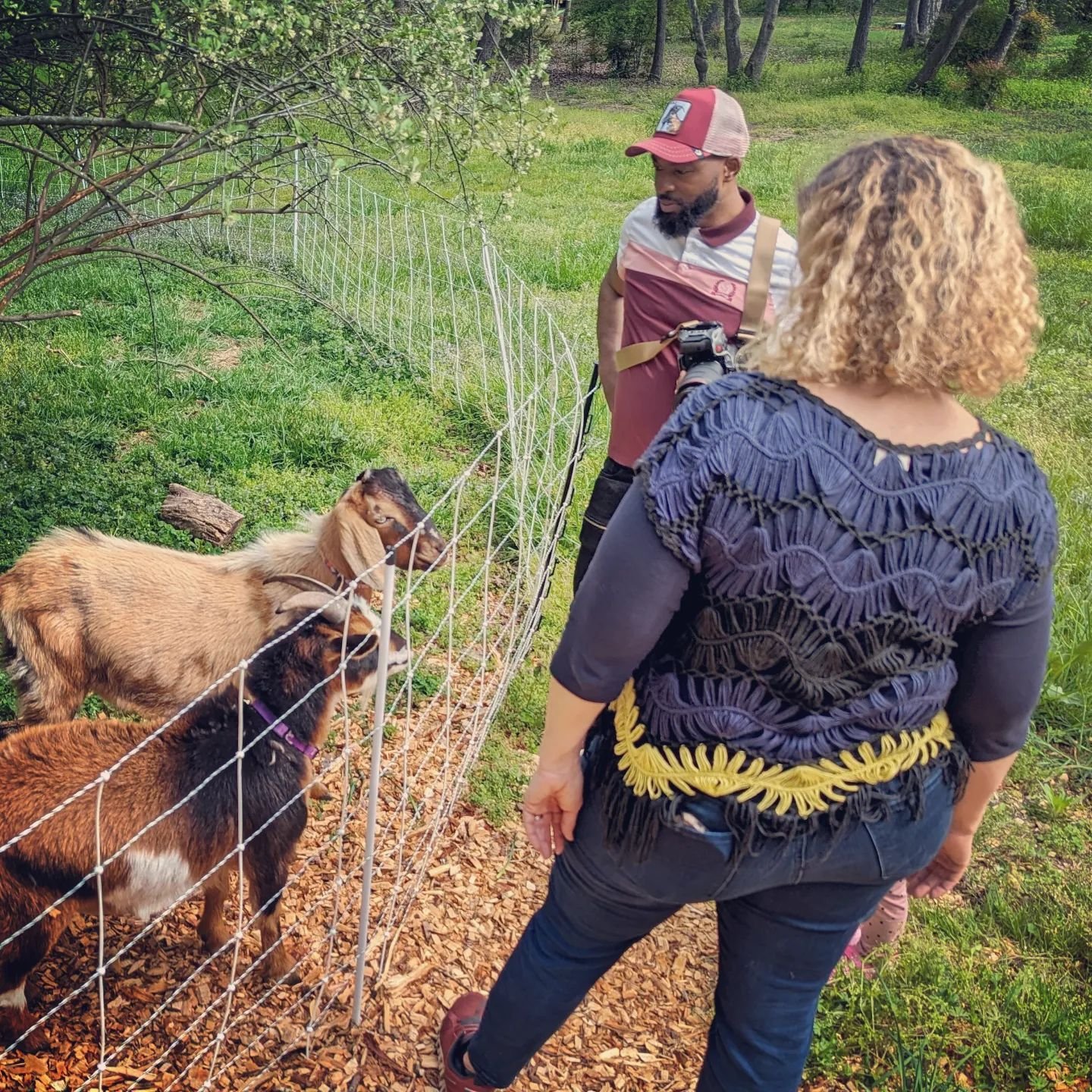 Headshot day! It's been a few years and our photos were in serious need of an update. Plus, we got some really fun pics of the goats!
.
.
.
#calicostudio #goats #ncmakers #photoshoot #team