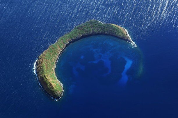 🐠 Dive into History at Molokini 🌊

Did you know that Molokini, our breathtaking snorkel paradise, has a fascinating history rich with marine wildlife? 🏝️ Let's dive into the story! 🌟

🌋 Formation: Molokini is a crescent-shaped volcanic crater, f
