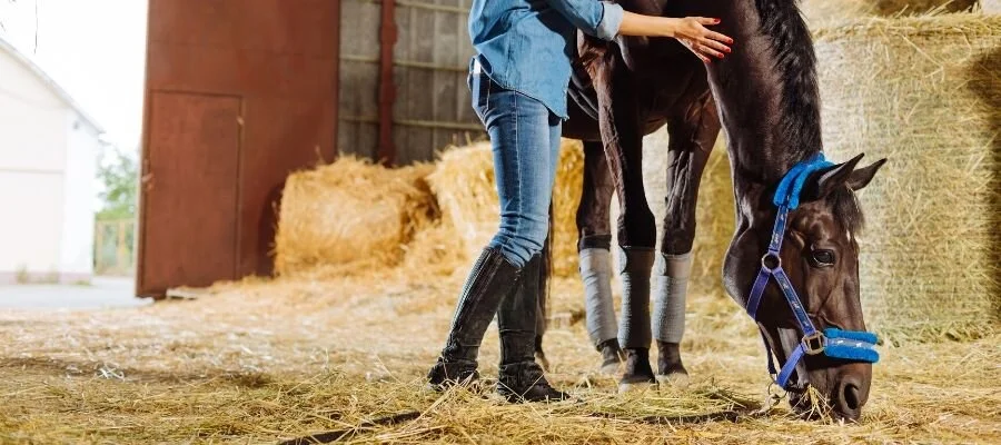 shoes to wear horseback riding