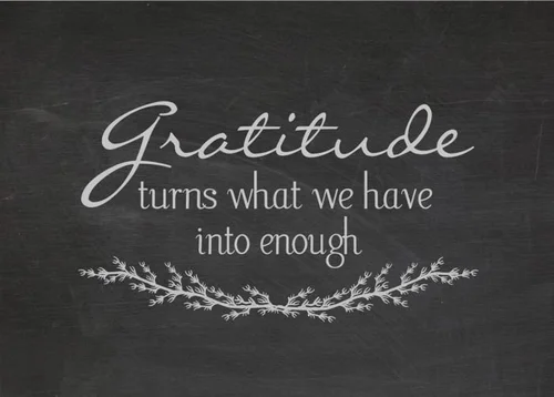 50 Joyful Quotes on Gratitude + Free Printable — Shopping on Champagne ...