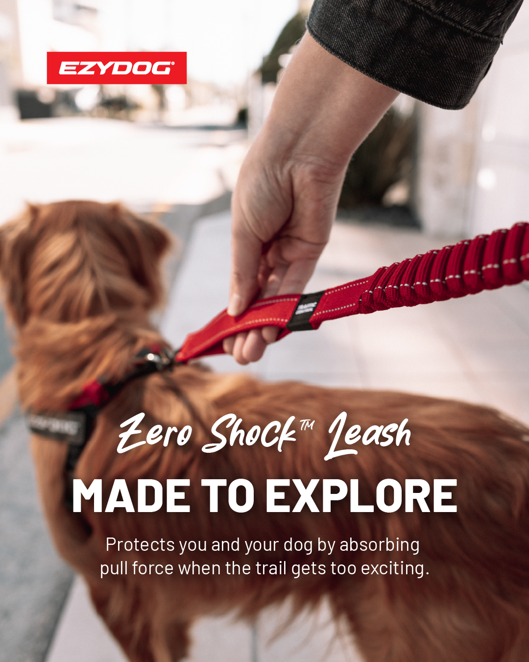 #15987_EZY DOG_ZERO SHOCK™ LEASH_EVERGREEN_1080 x 1350_V1A.png