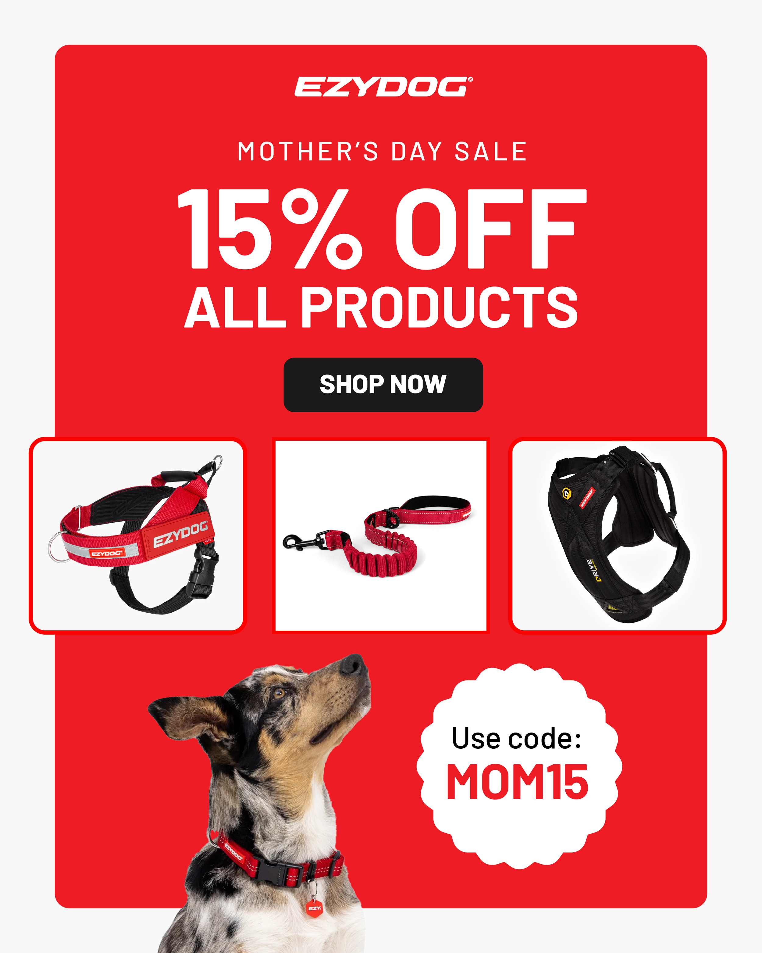 #15563_EZY DOG_PROMOTIONAL_MOTHERS DAY__1080x1350_1.png