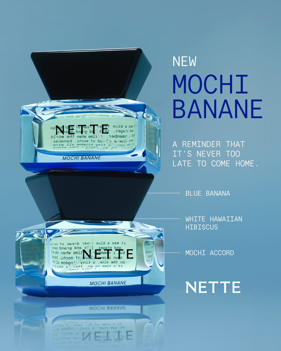 #15817_NETTE_MOCHIBANANE_EVERGREEN_1080x1350_01.png