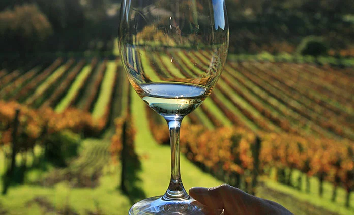 California NAPA VALLEY & SONOMA ACTIVE CULINARY WALKING & HIKING TOUR.jpg