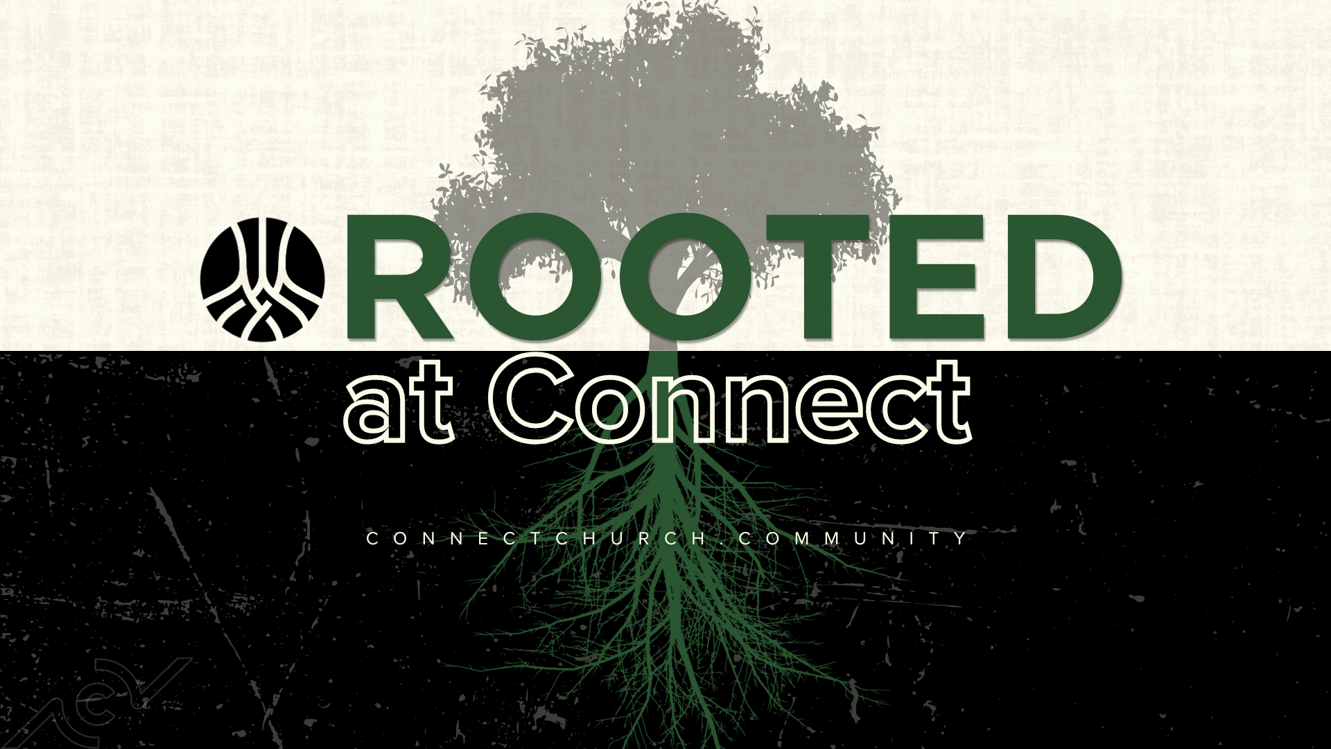 Rooted Series | Why is the Church Important?