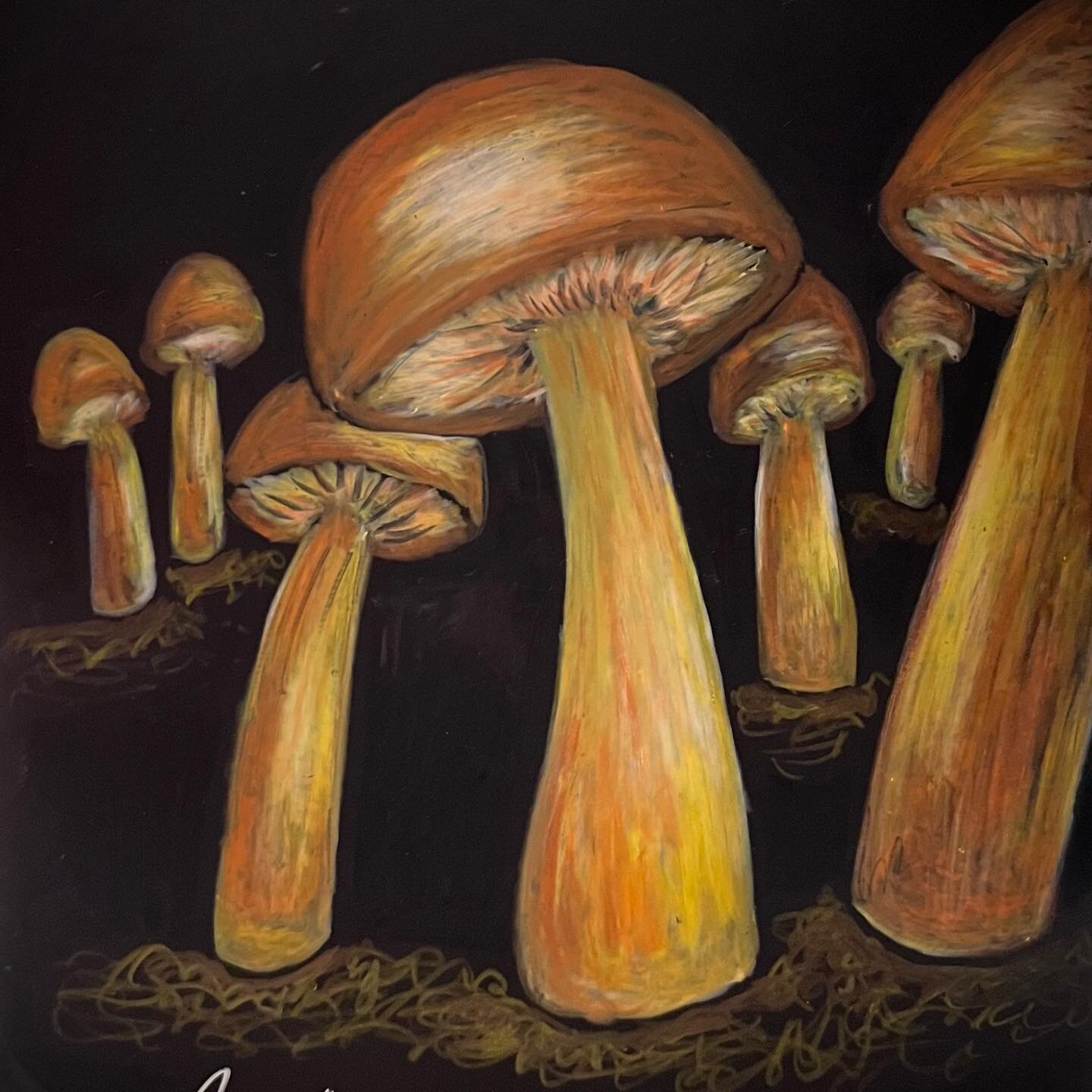 Mushroom art! Check it out! It&rsquo;s based on an essay about our interconnedtedness by Ross Gay! Link in bio! Full write up on my site!