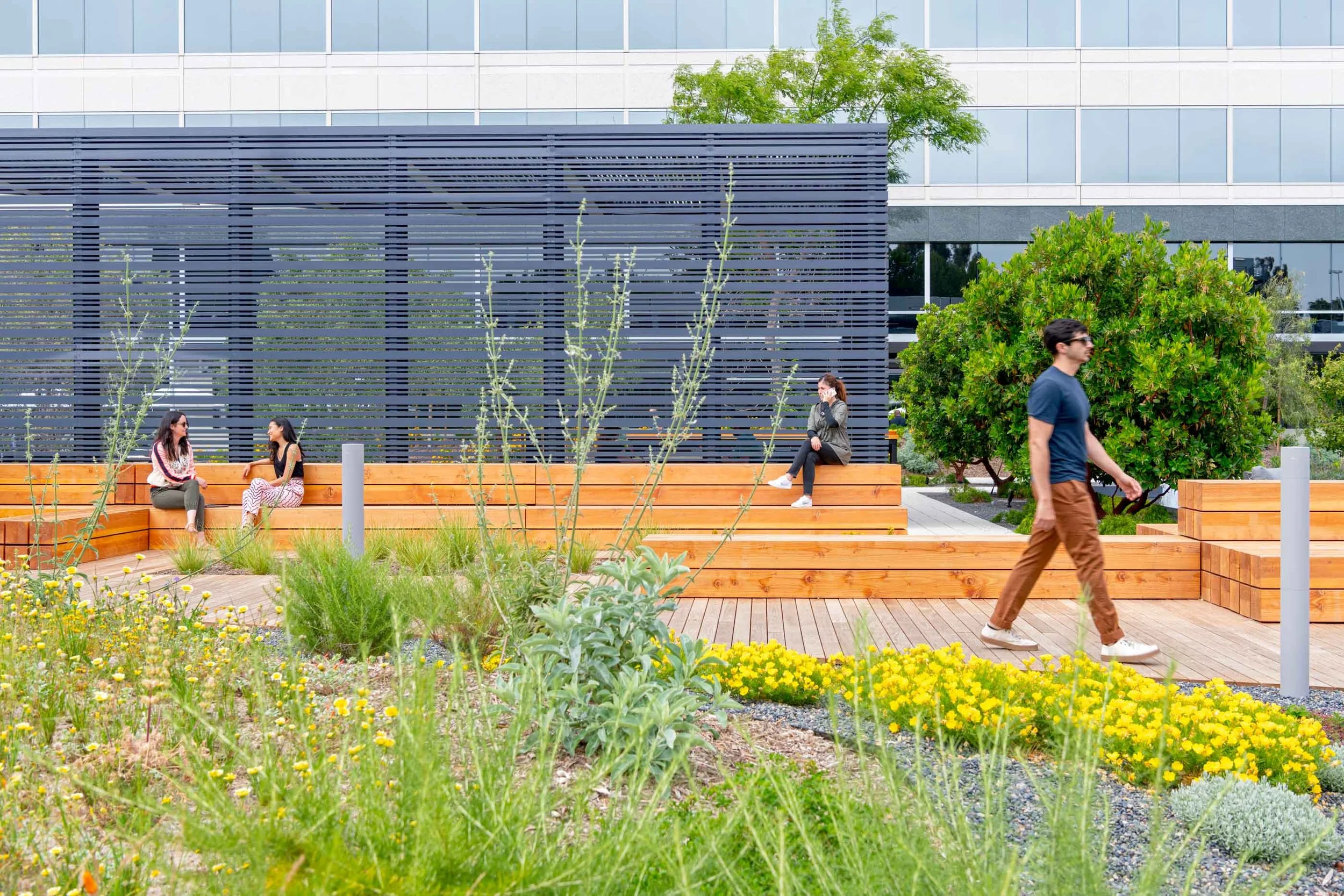 PlayaDistrict_Exterior-Public-Park-Lounge-Seating-Landscape.jpg