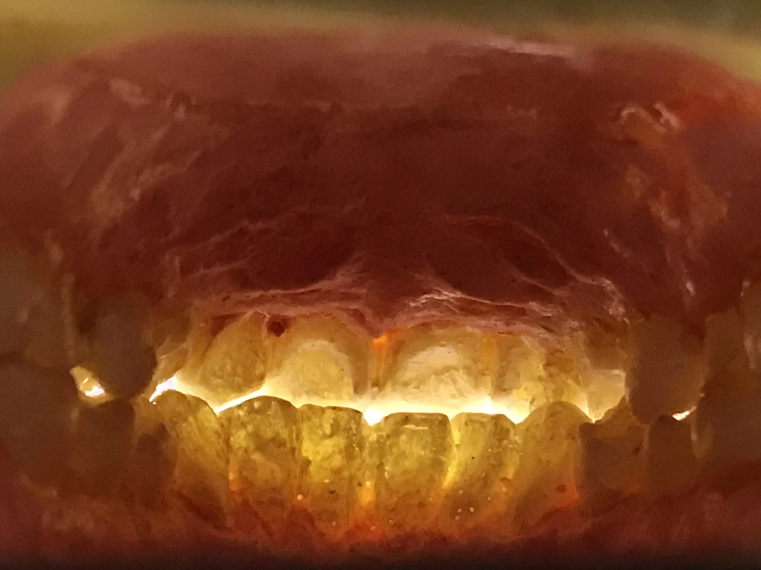 Inside of Mouth Puppet