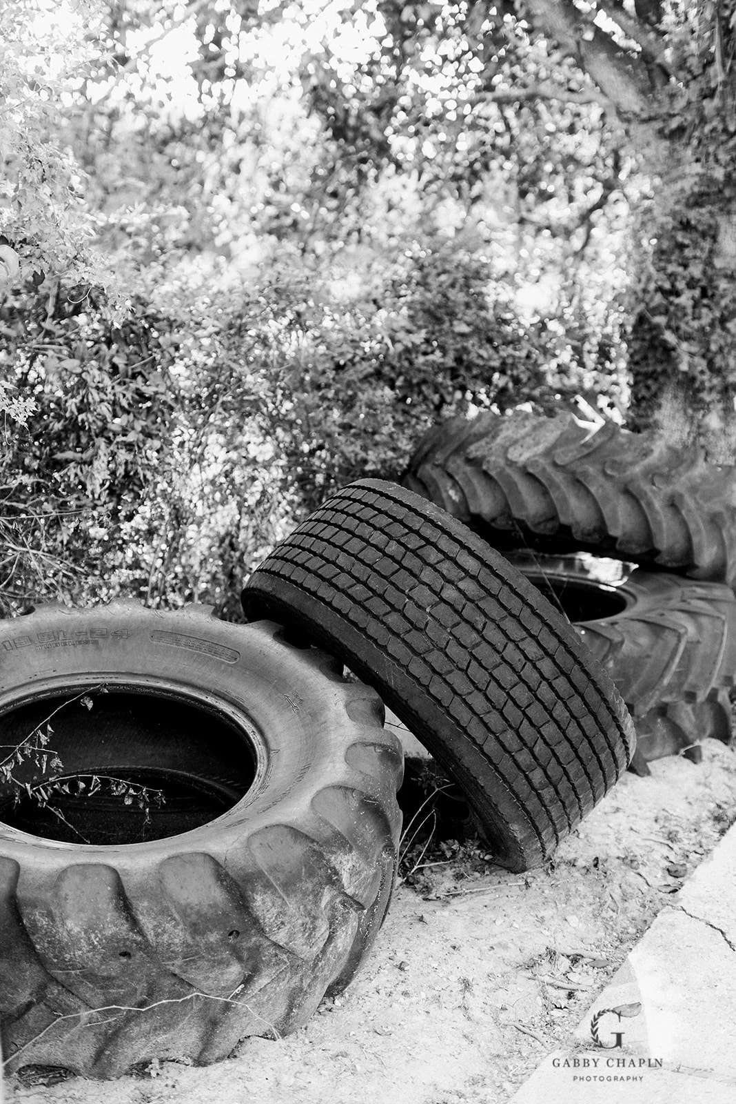 Dispelling the Myth: Why CrossFit is Not Dangerous