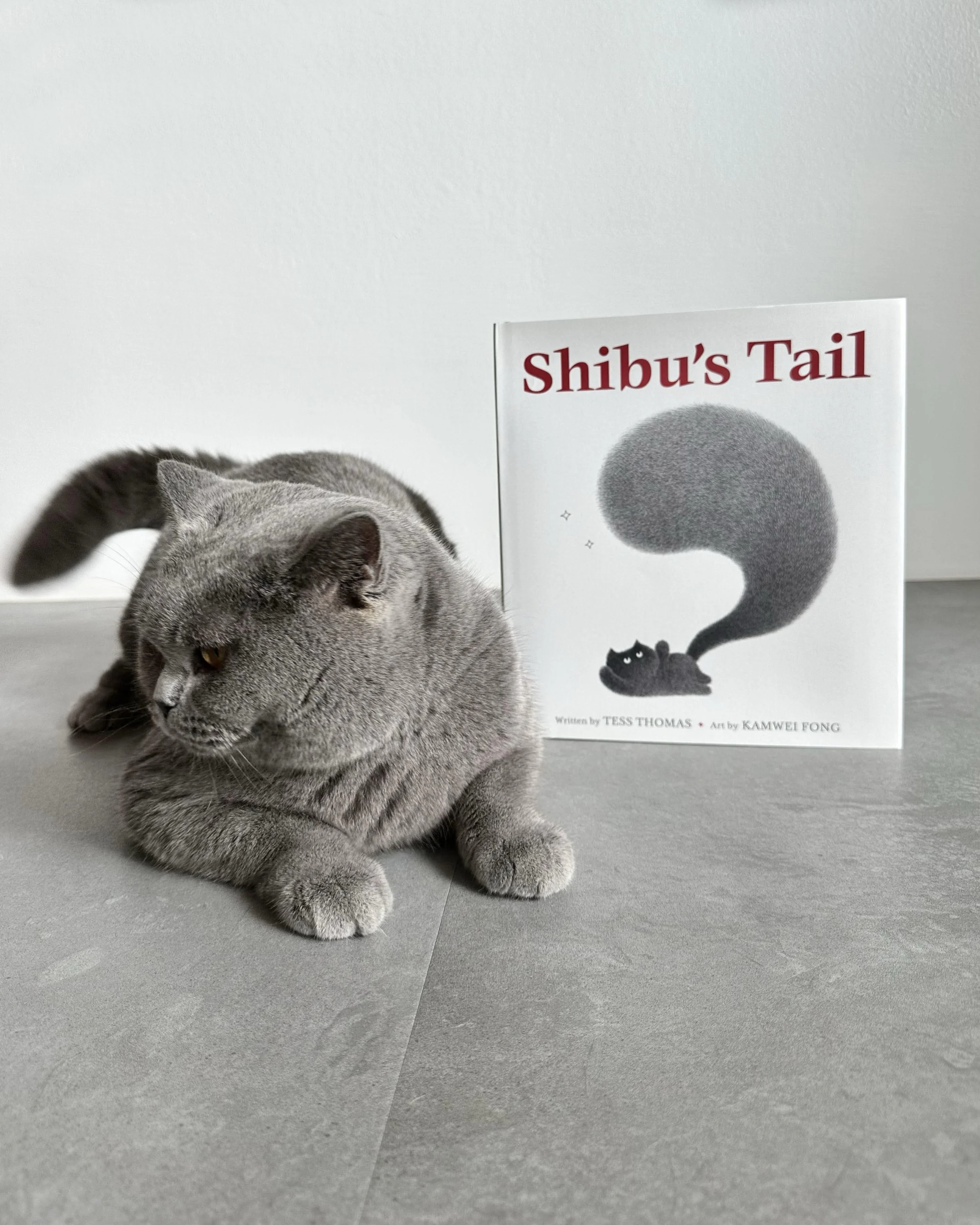 Shibu's Tail 3.jpeg