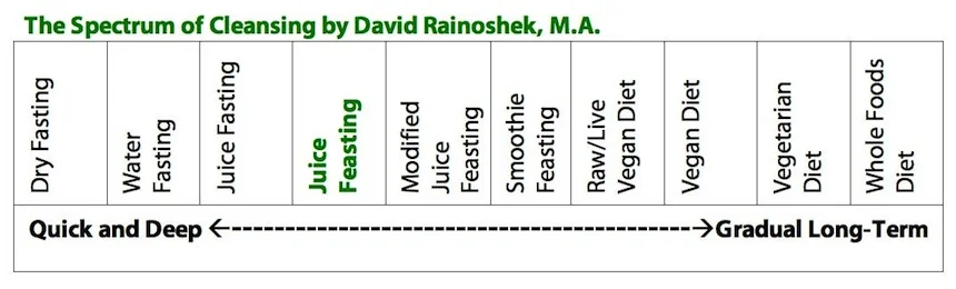 The-Spectrum-of-Cleansing-KP.jpg