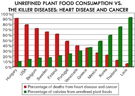 Unrefined-Plant-Food-Killer-Diseases-color.jpg