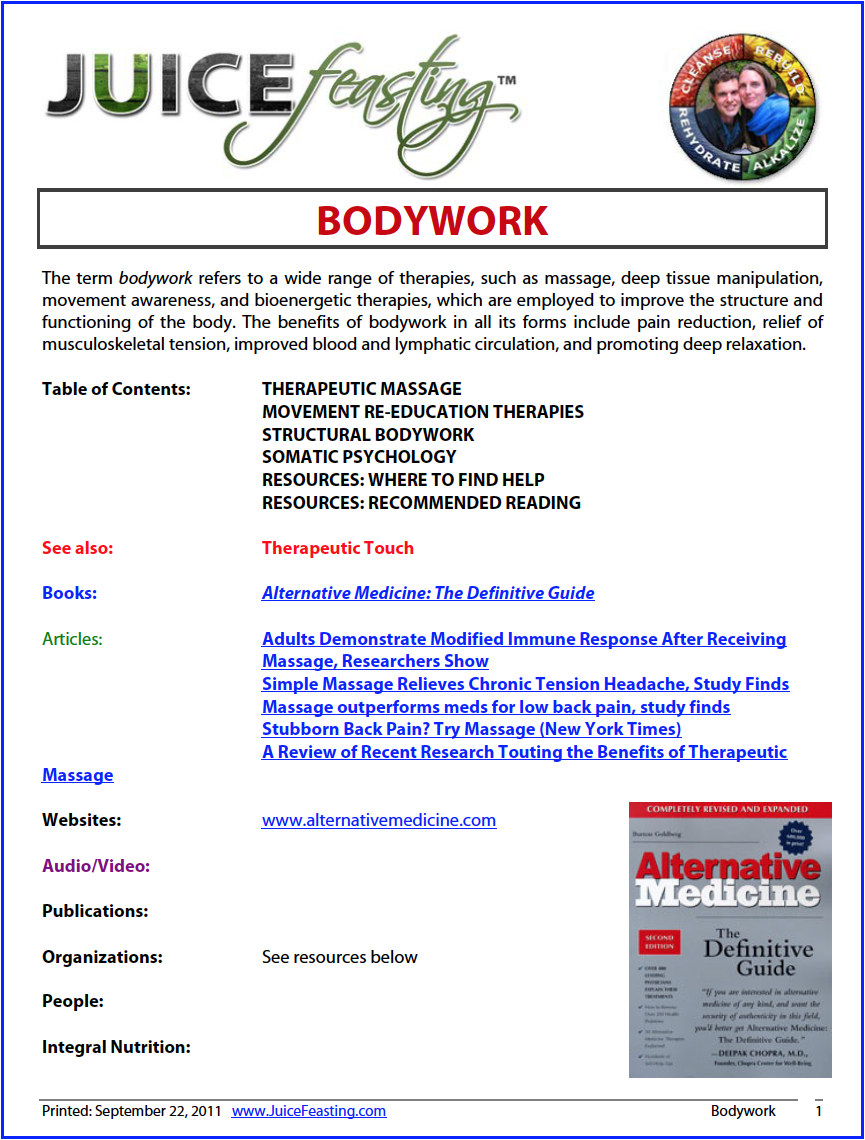 Bodywork Cover.png