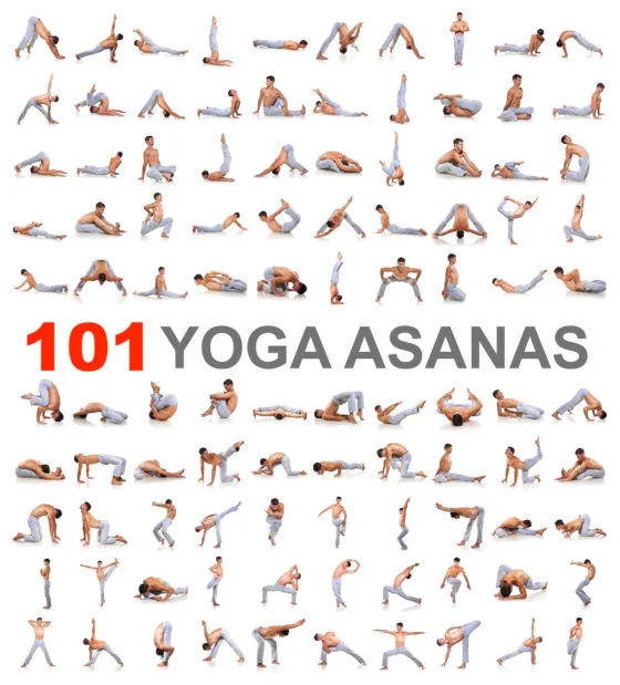 Yoga Asanas Chart.jpg