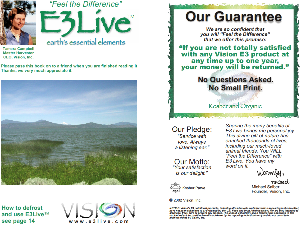 E3Live Booklet Cover.png