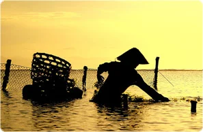 Seaweed-collecter.jpg