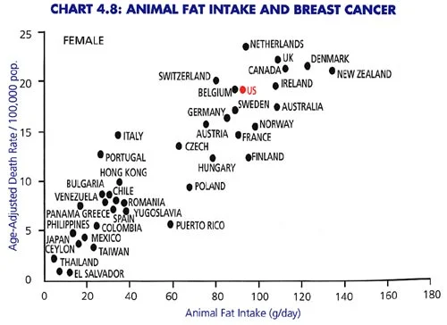 Breast-Cancer-Animal-Fat-China-Study-851.jpg