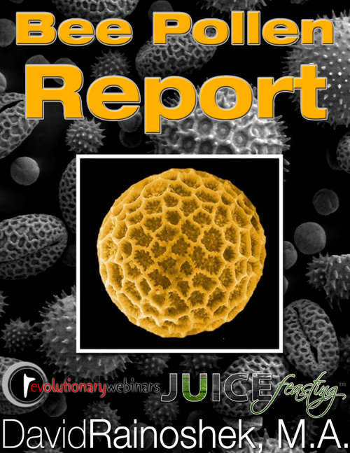 Bee-Pollen-Report.jpg