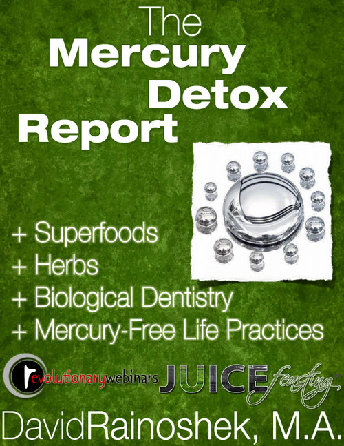 Mercury-Detox-Report.jpg