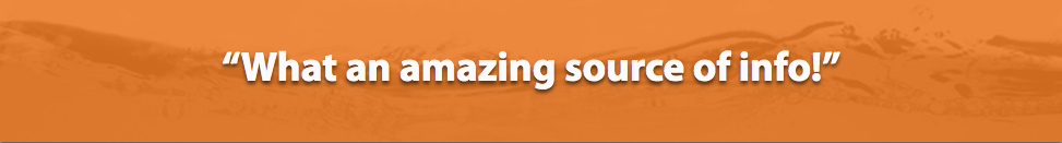 Amazing Source of Information.png