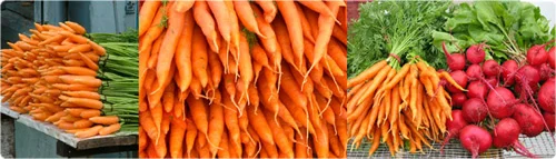 carrotbeetweb.jpg