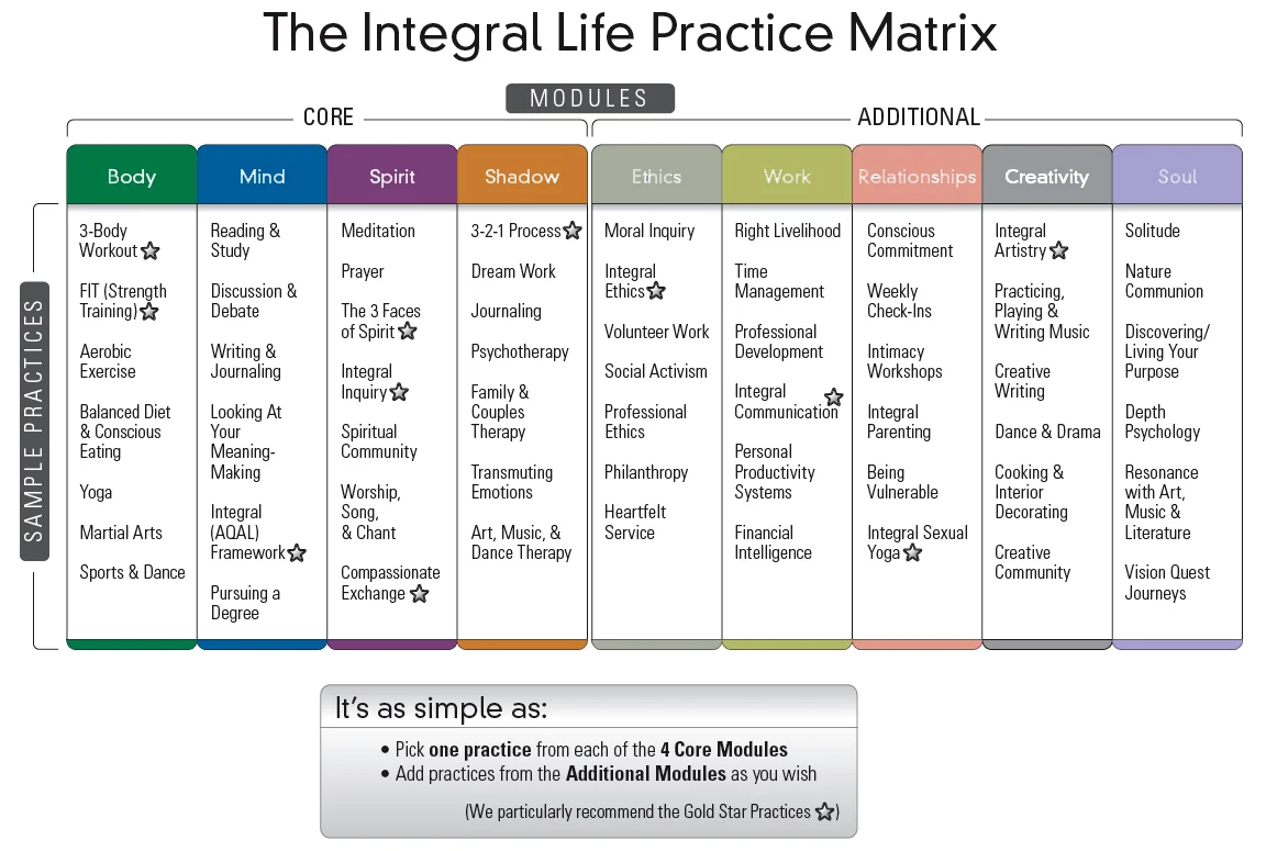 The Integral Life Practice Matrix in Integral Life Practice by Ken Wilber