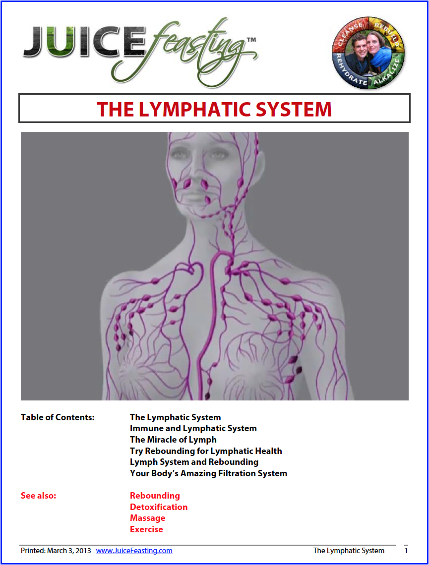 The Lymphatic System Cover.png