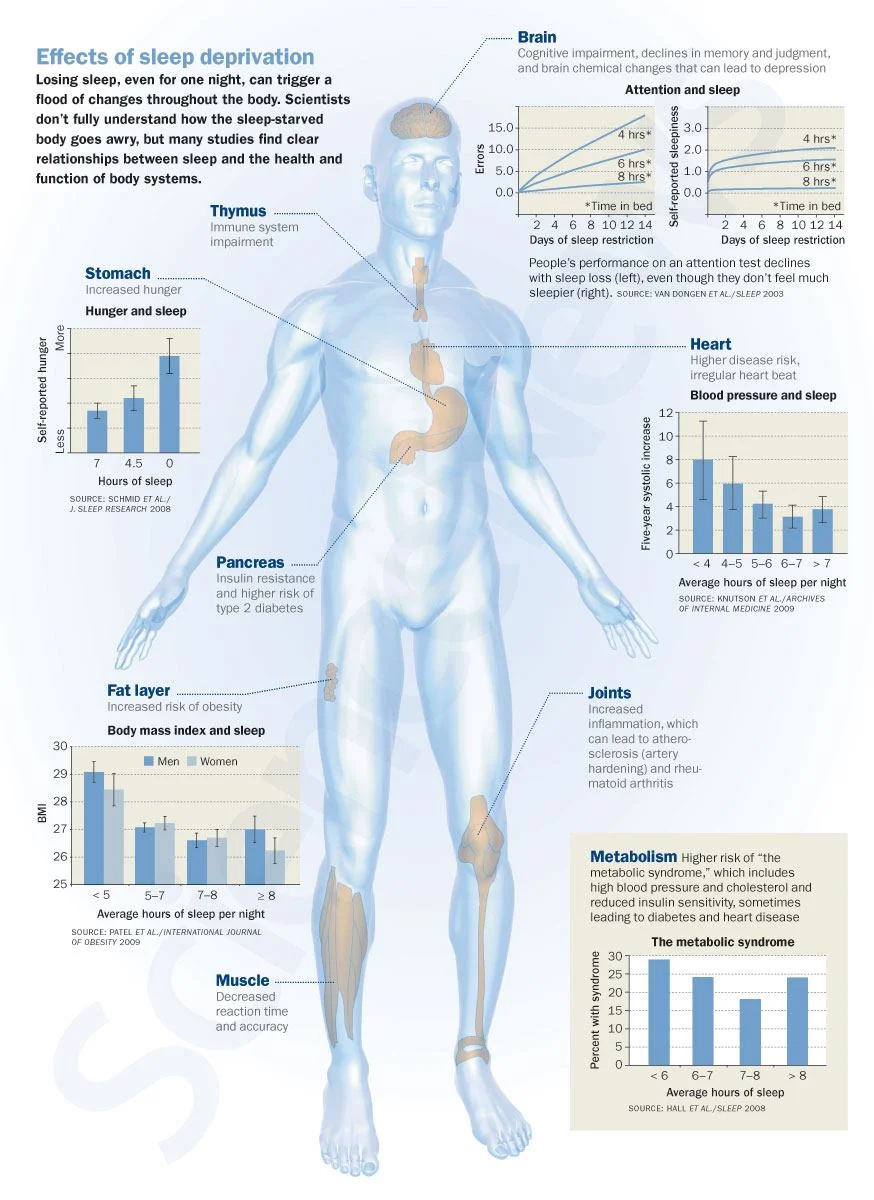Effects of Sleep Deprivation