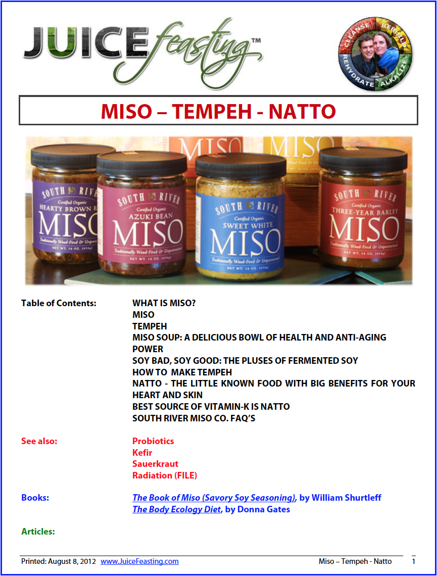 Miso Natto COver.png