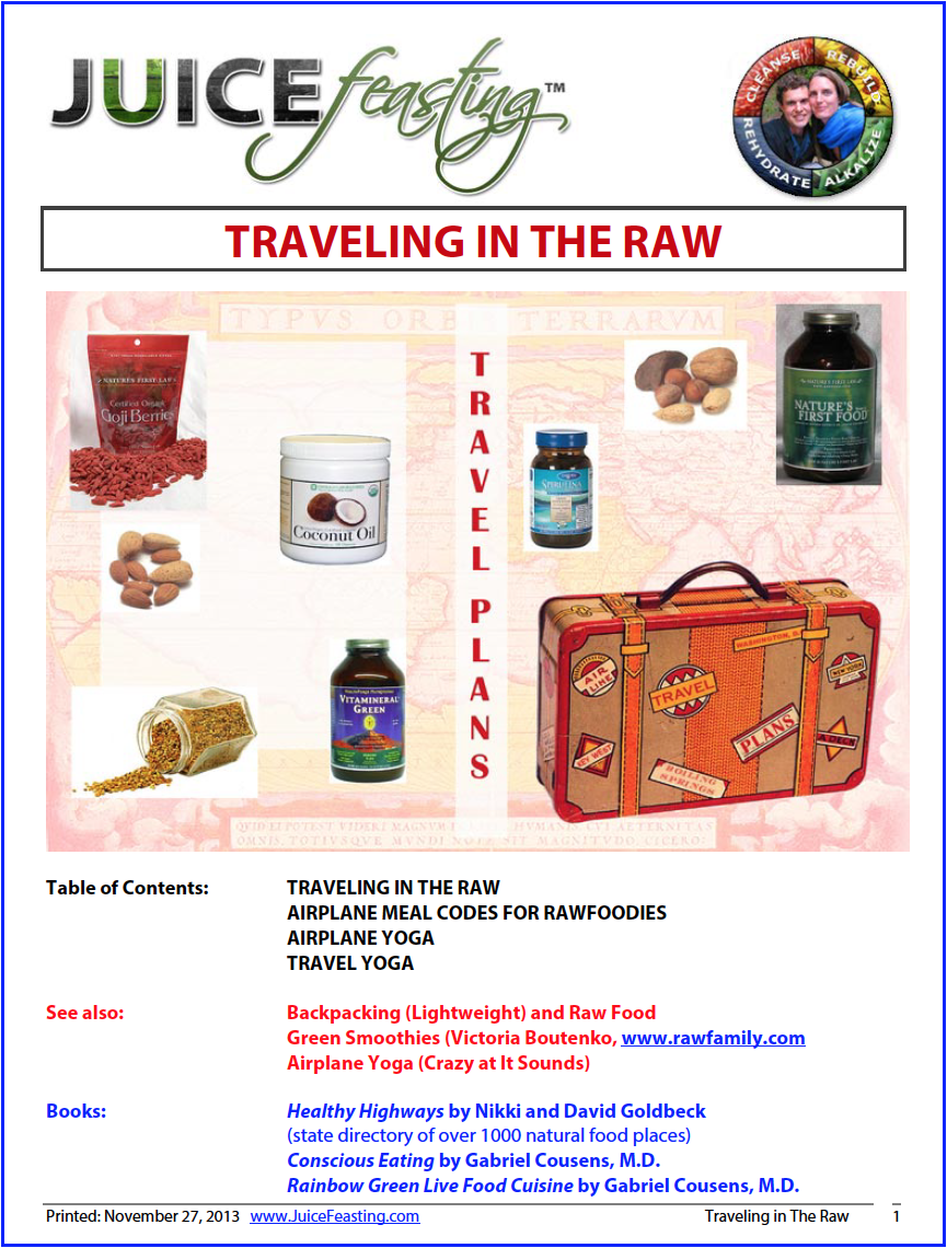 Traveling in the Raw Cover.png