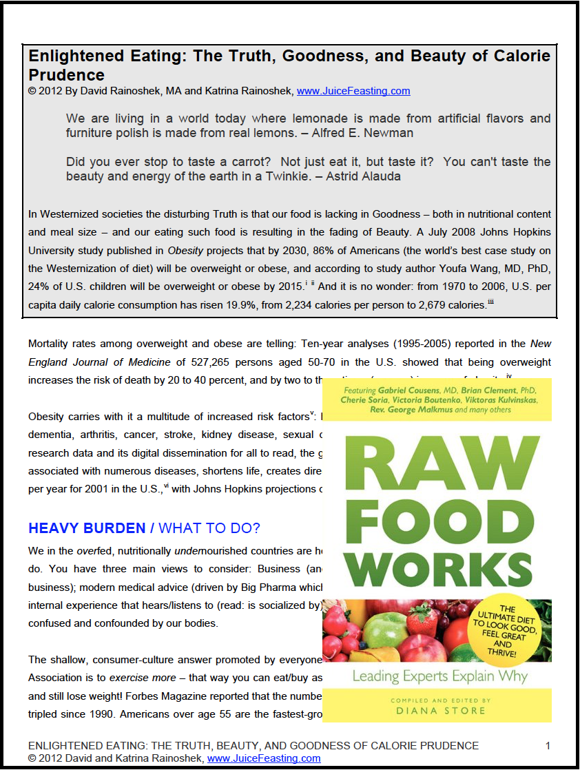 Enlightened-Eating-Calorie-Prudence.png